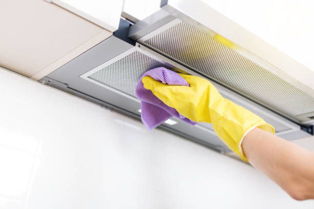 Best Ductwork Cleaning Services  in Zeeland, MI